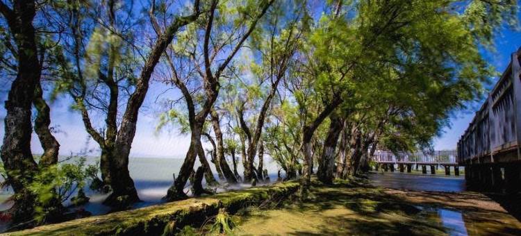 睿格澜亭•花园酒店图片