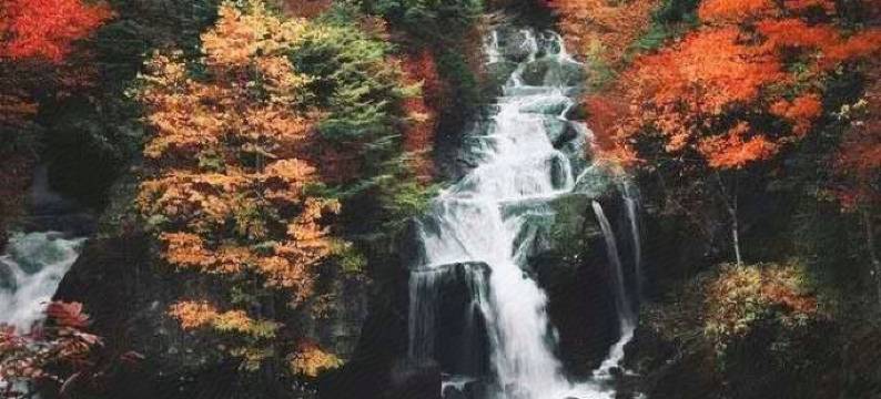 鑫和商务宾馆图片