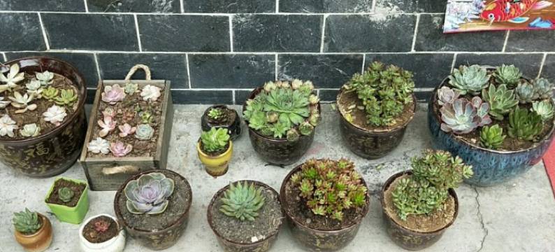 神农架宝捷家庭旅馆图片