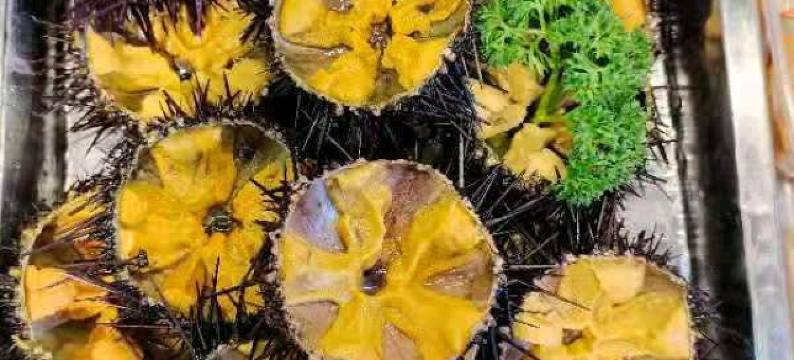 蓬莱海华渔家公寓图片