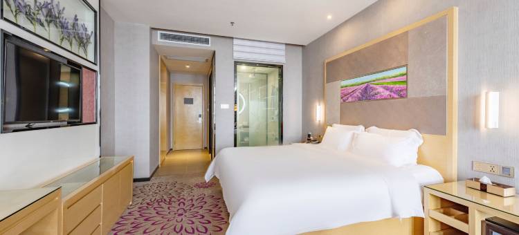 麗枫酒店(惠州园洲店)图片