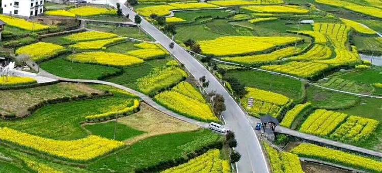 婺源新农民客栈图片