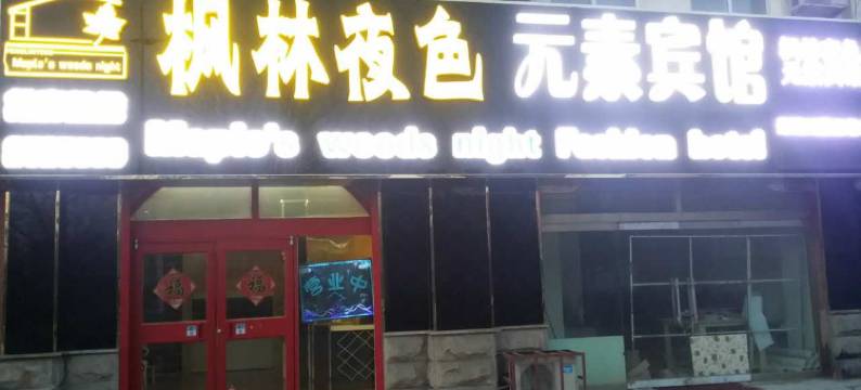 东营枫林夜色元素宾馆图片