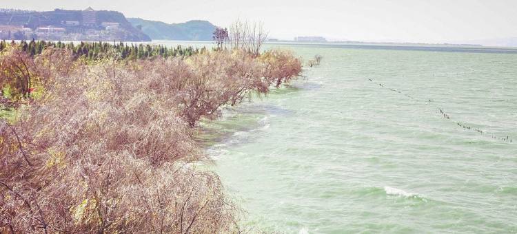 睿格澜亭•花园酒店图片