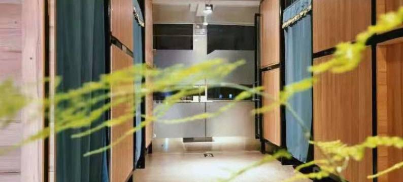 石河子花巢青年旅馆图片