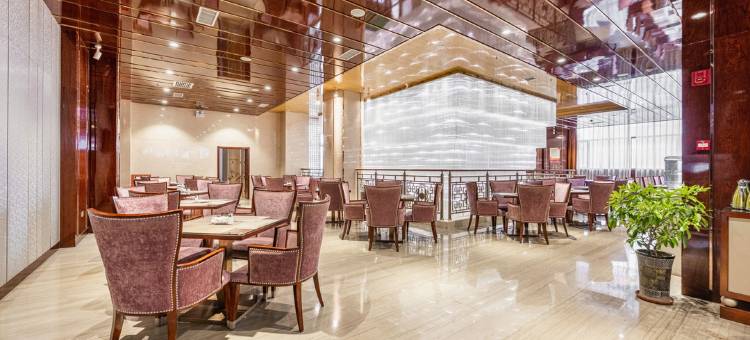 成县西狭国际酒店图片