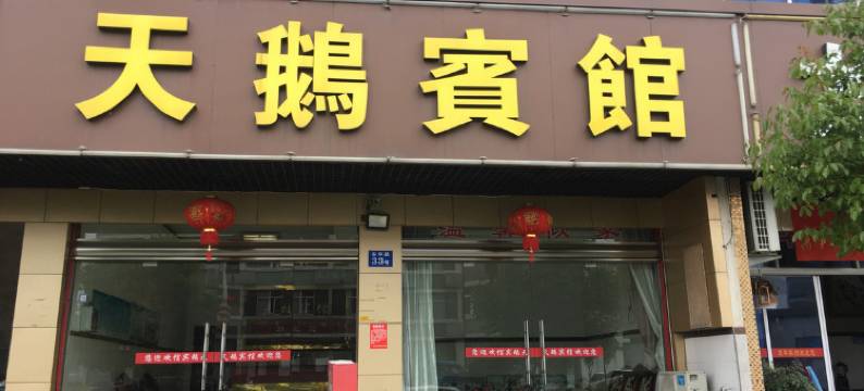 浦江天鹅宾馆图片