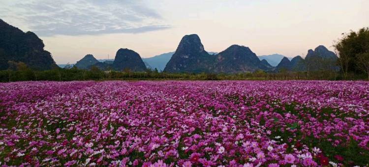 英德千寻民宿图片