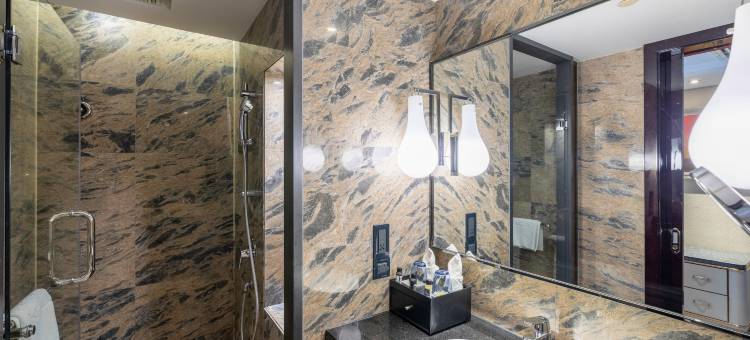 湘潭君逸美高梅国际大酒店图片