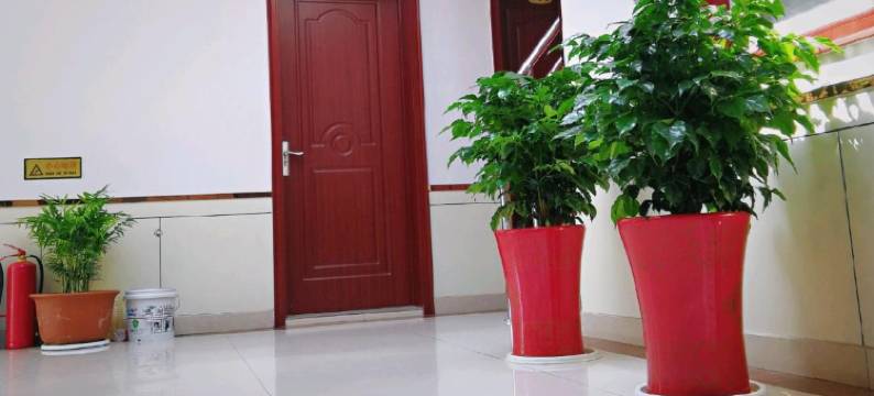 日照三鲜渔家图片