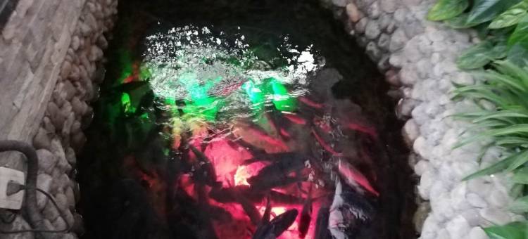 娘子关民宿一号院图片