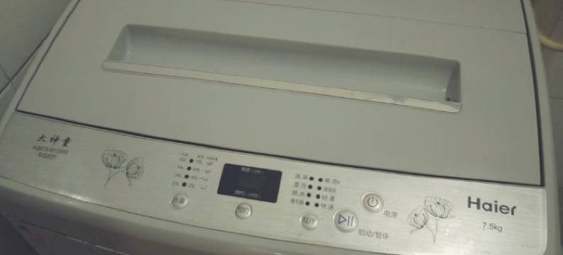 成都理想青年旅舍图片