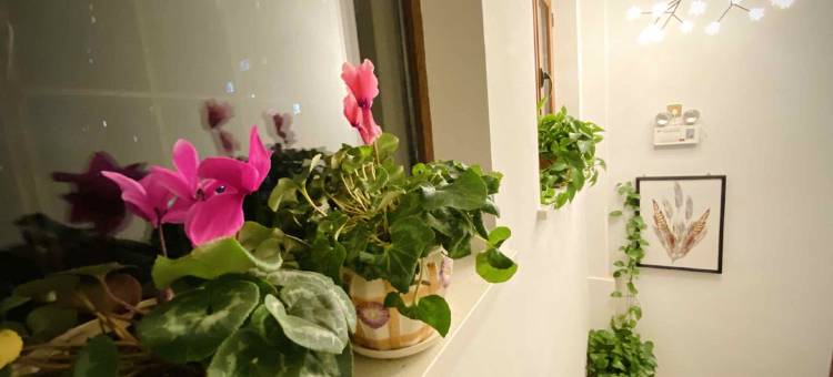 锦州风派宾馆图片