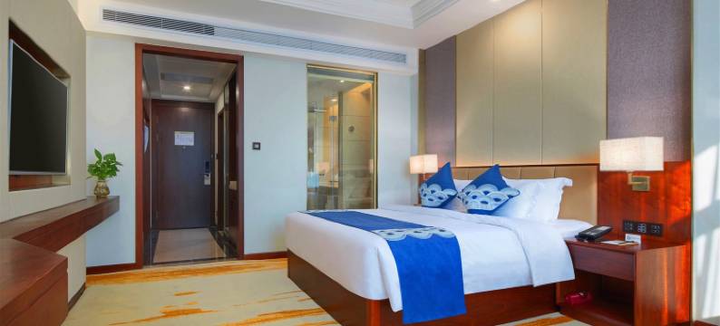 柳州川海左岸大酒店图片