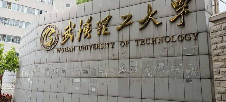 OYO武汉圣华旅馆图片