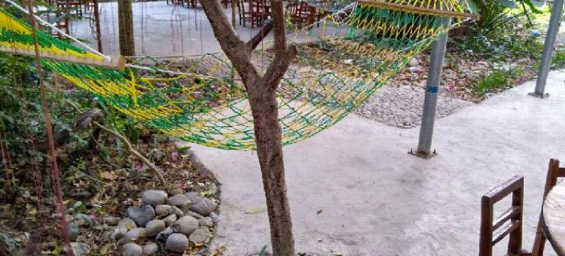 灵川毛洲岛35号休闲农庄图片