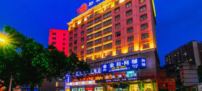 南宁松源锦酒店(金湖广场地铁站店)图片