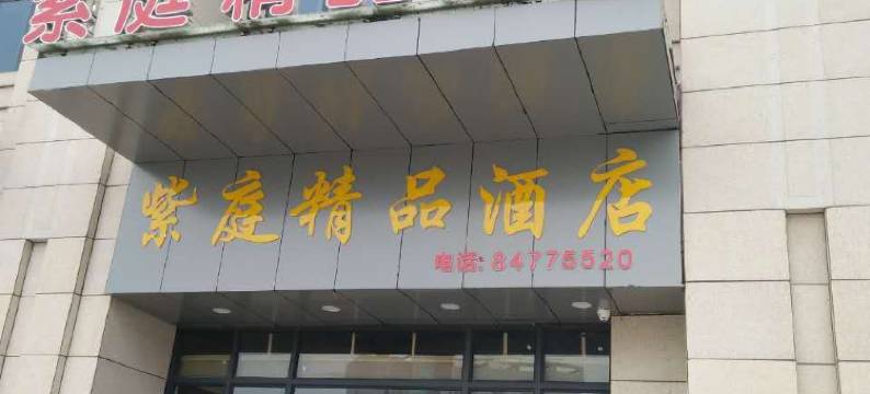 紫庭精品酒店(汉阳客运站地铁站店)图片