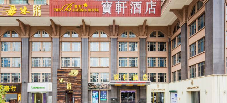 深圳宝轩酒店(罗湖口岸大剧院地铁站店)图片