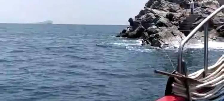 台山尾角湾怀海居图片