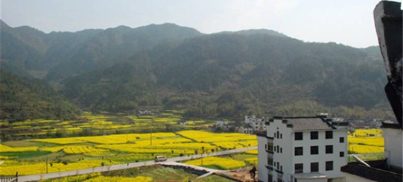 婺源江岭东篱居图片