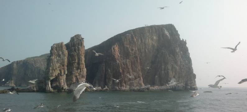 长岛良紫渔家图片