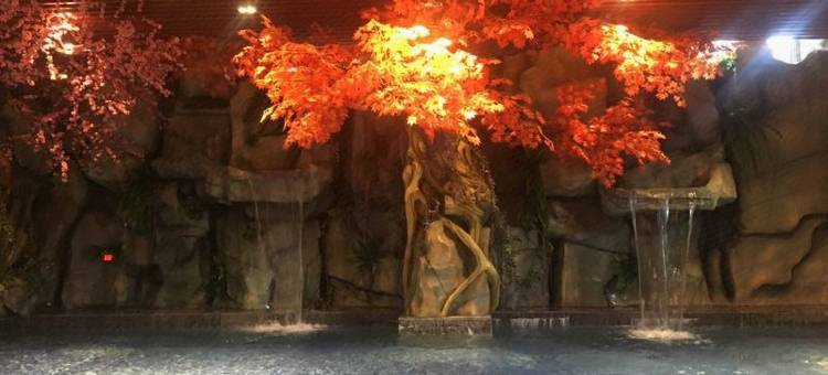 涿州永利汇温泉酒店图片