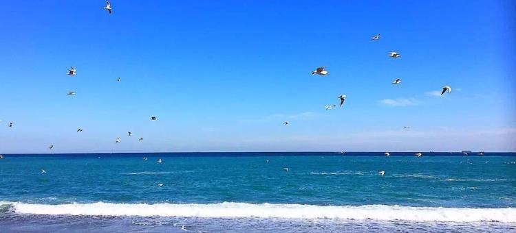 维也纳酒店(威海高铁北站海水浴场山东大学店)图片