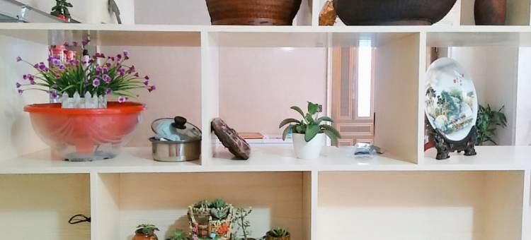 泰顺邻荷居望荷里民宿图片