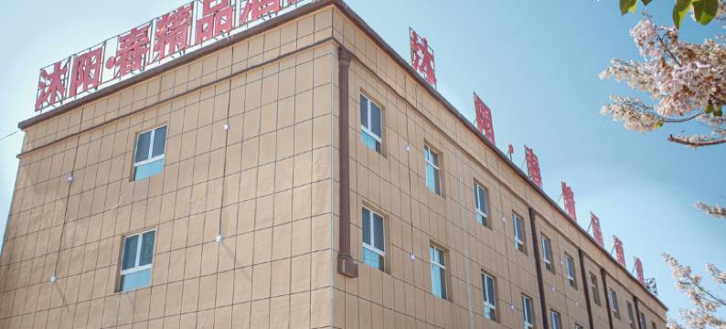 沐阳春精品酒店(叶城县人民政府店)图片