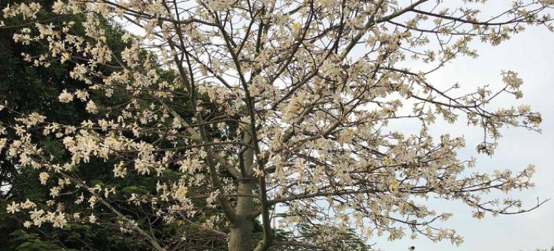 广州忘不了公寓图片