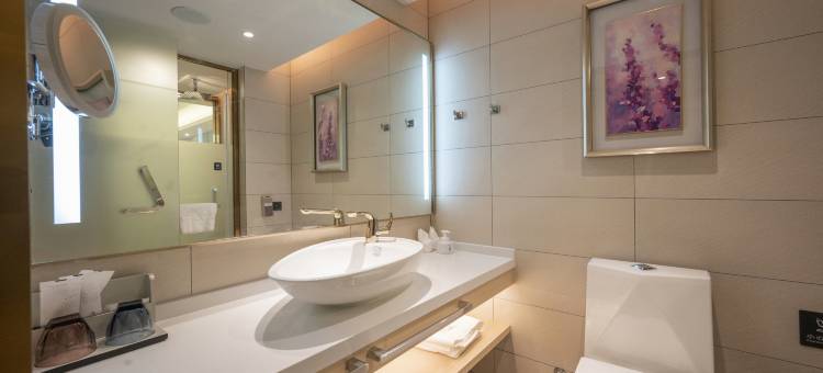 麗枫酒店(焦作万方桥高铁站店)图片