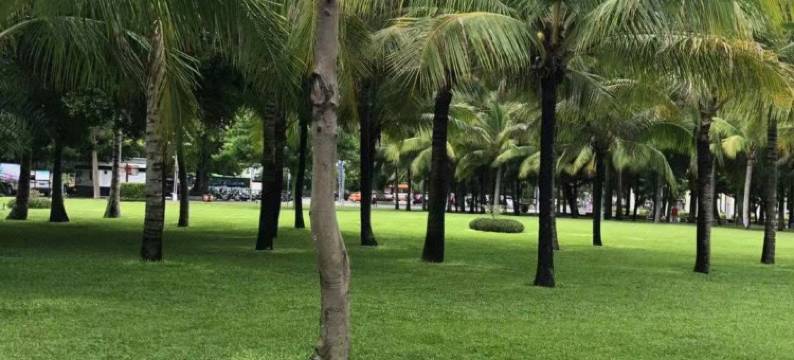 三亚君梦家庭旅馆图片