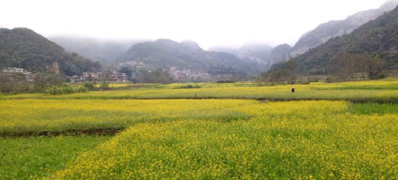 广南坝美风景区内田园之光民宿图片
