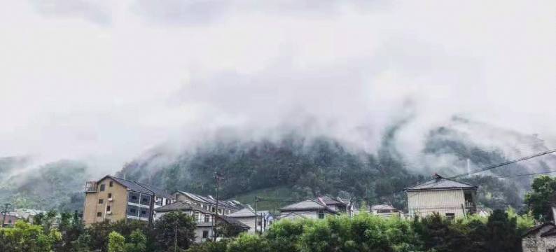 安吉田园农庄图片