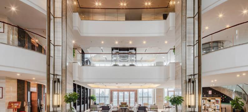 西充自然天辰·莲花大酒店图片