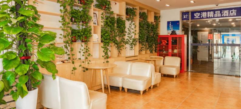 如家华驿精选酒店(北京首都国际机场店)图片