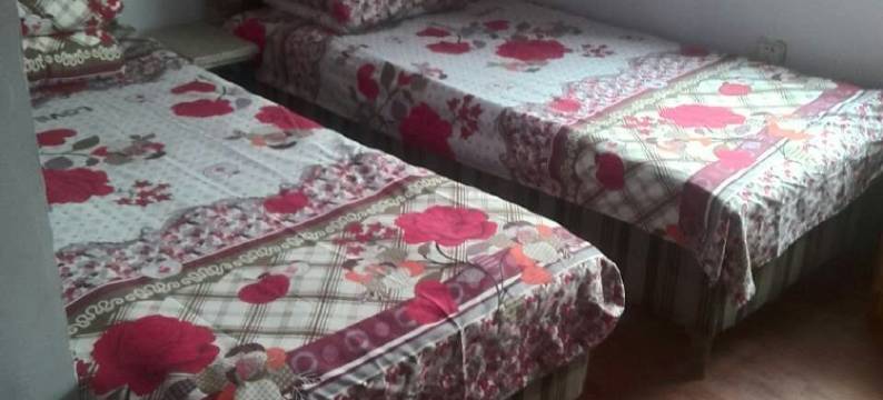 肥乡广安旅社图片