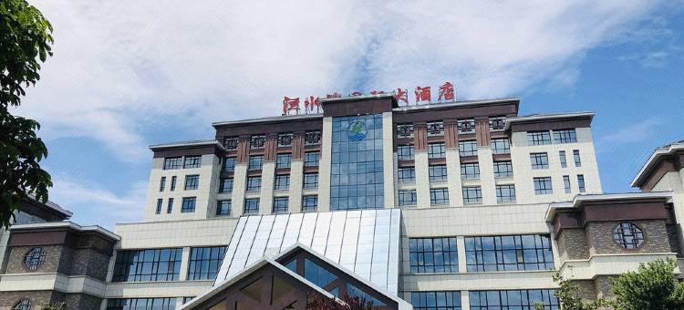 安阳洹水湾国际大酒店图片