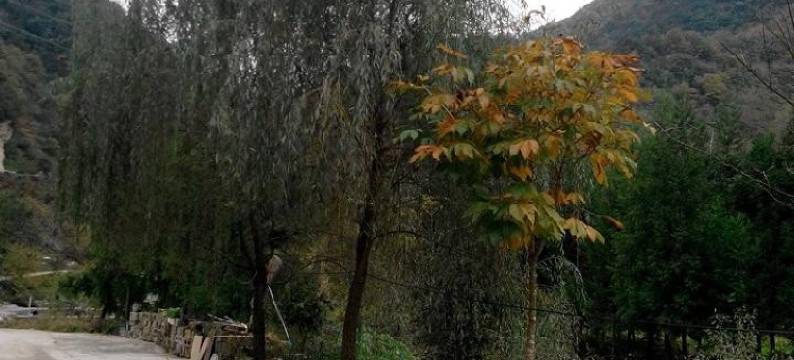 南江奇石避暑山庄图片