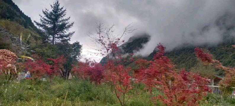 松坪沟华剑宇农家图片