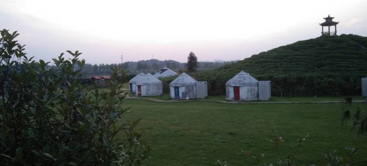 江山康悦农家乐图片