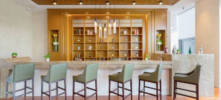 六安索伊国际大酒店图片