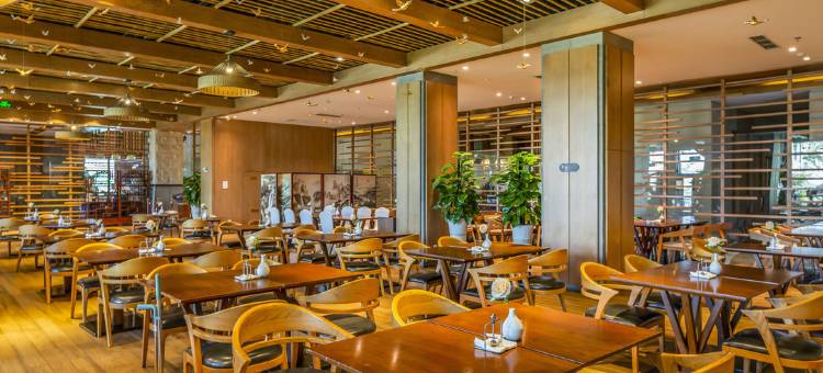 内丘鹊山湖阿尔卡迪亚国际度假酒店图片