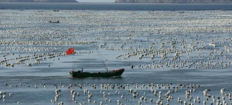 嵊泗枸杞岛聚缘阁渔家乐图片