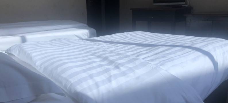 瑞安天伦宾馆图片