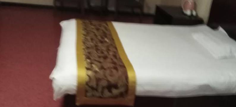 民勤鸿福苑商务宾馆图片