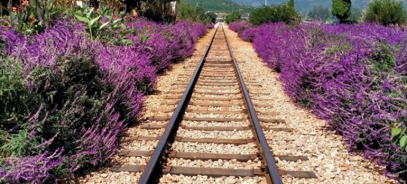 建水品云客栈(建水古城文庙店)图片