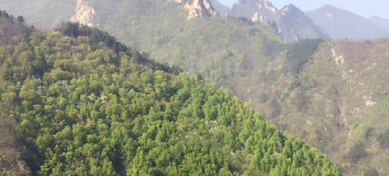 杨小艳民俗饭庄(雾灵西峰东极仙谷风景区店)图片