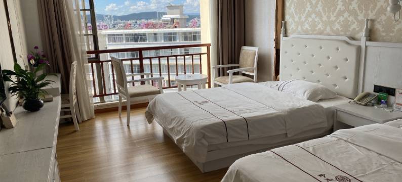 南华金元大酒店图片